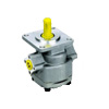 Gear Pumps